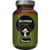 POLYPORUS PILZ Extrakt 400 mg Tabletten