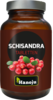 SCHISANDRA EXTRAKT 400 mg Tabletten