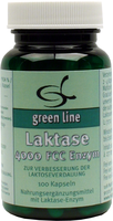 LAKTASE 4.000 FCC Enzym Kapseln - 100St