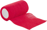 DRACOELFI haft color elast.Fixierb.10 cmx4 m rot - 1St