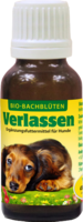 BACHBLÜTEN Verlassen flüssig f.Hunde - 20ml - CD Vet