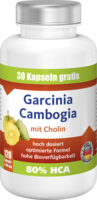 VIAVITAMINE Garcinia Cambogia Kapseln - 120St