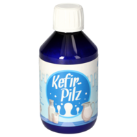 KEFIR Pilz zur Bereitung aus Milch - 1St