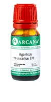 AGARICUS MUSCARIUS LM 1 Dilution - 10ml