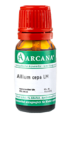 ALLIUM CEPA LM 22 Dilution - 10ml