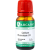 CALCIUM FLUORATUM LM 3 Dilution