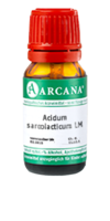 ACIDUM SARCOLACTICUM LM 6 Dilution - 10ml