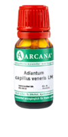ADIANTUM CAPILLUS veneris LM 21 Dilution - 10ml