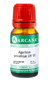 AGARICUS EMETICUS LM 6 Dilution - 10ml