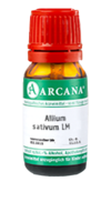 ALLIUM SATIVUM LM 28 Dilution - 10ml