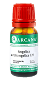 ANGELICA ARCHANGELICA LM 3 Dilution - 10ml