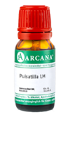 PULSATILLA LM 500 Dilution - 10ml