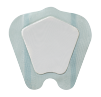 BIATAIN Silicone Ag Schaumverb.Sakr.groß 25x25 cm - 5St