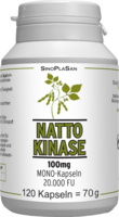 NATTOKINASE 100 mg Mono 20.000 FU Kapseln - 120St