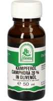 KAMPFERÖL Camphora 20% in Olivenöl - 50ml
