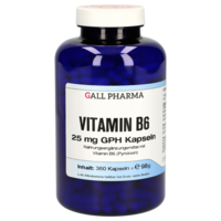 VITAMIN B6 25 mg GPH Kapseln - 360St