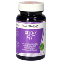 GELENK-FIT GPH Kapseln - 60St