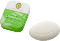 DUFTSTEIN mini - 1St