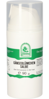GÄNSEBLÜMCHEN Salbe - 90g