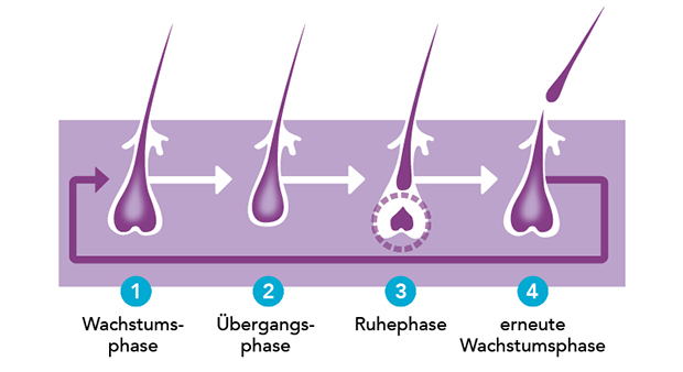 3-REGAINE_Grafik-Haarwachstum_770px.jpg