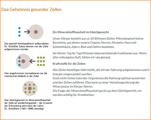 selbstheilungskrÃ?fte gesunde-zellen