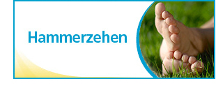 Hammerzeh hammerzeh_klein