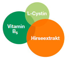 ms_priorin_diagramm_0615