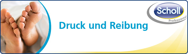 scholl_druck_reibung