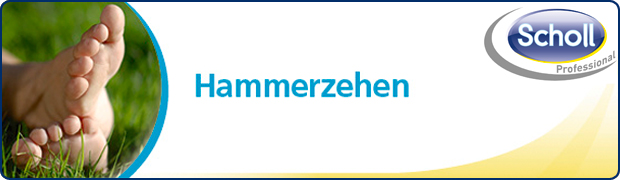 hammerzeh scholl_hammerzeh