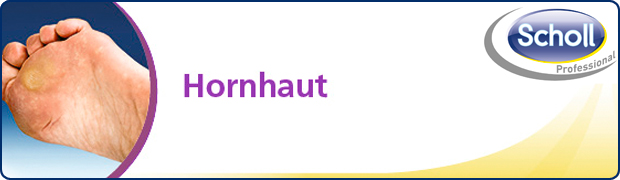 hornhaut scholl_hornhaut