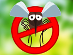tw_insektenschutz