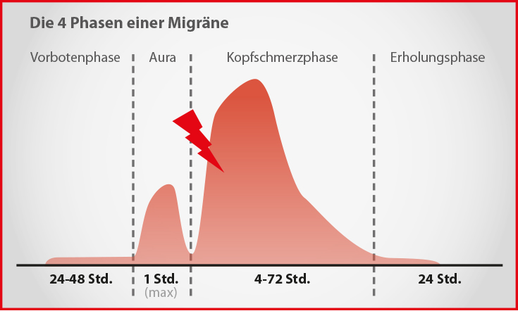 Migraenephasen.jpg