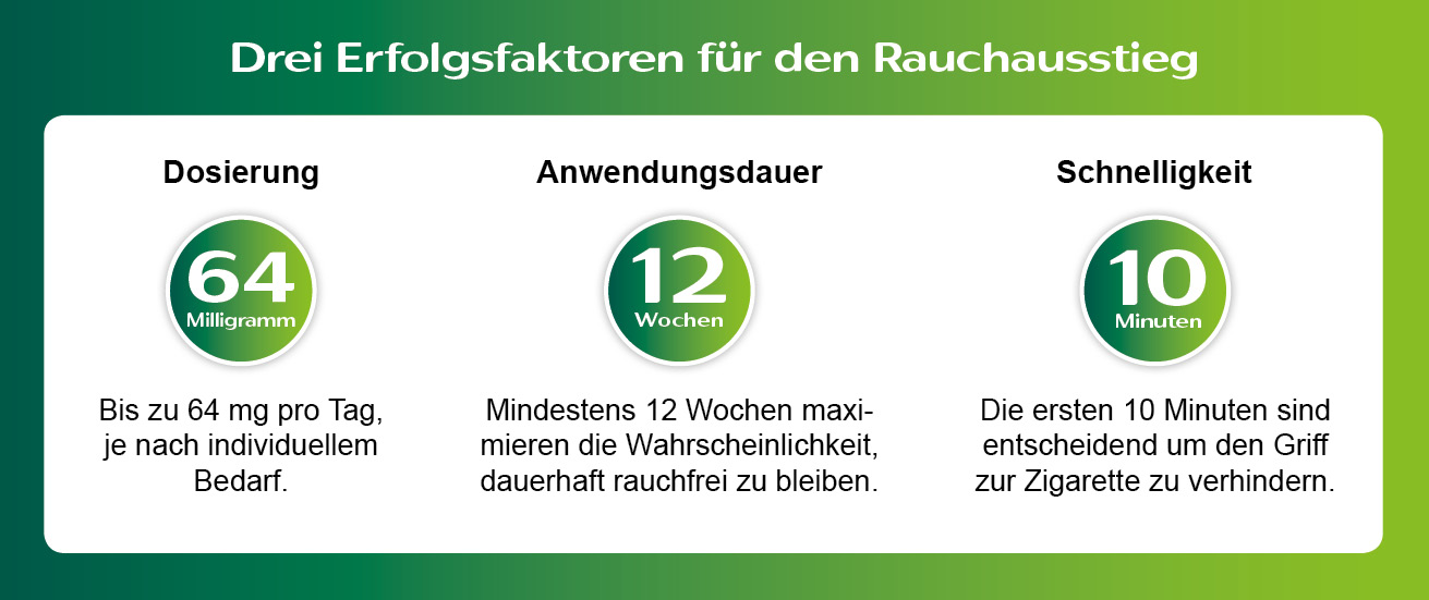 NIC331_Themenshop_Erfolgsfaktoren.jpg