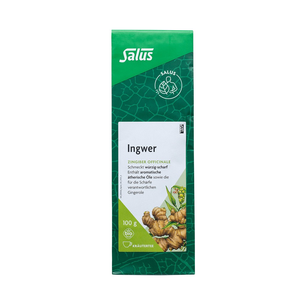 INGWER GEWÜRZTEE Zingiber officinale Bio Salus 100 g