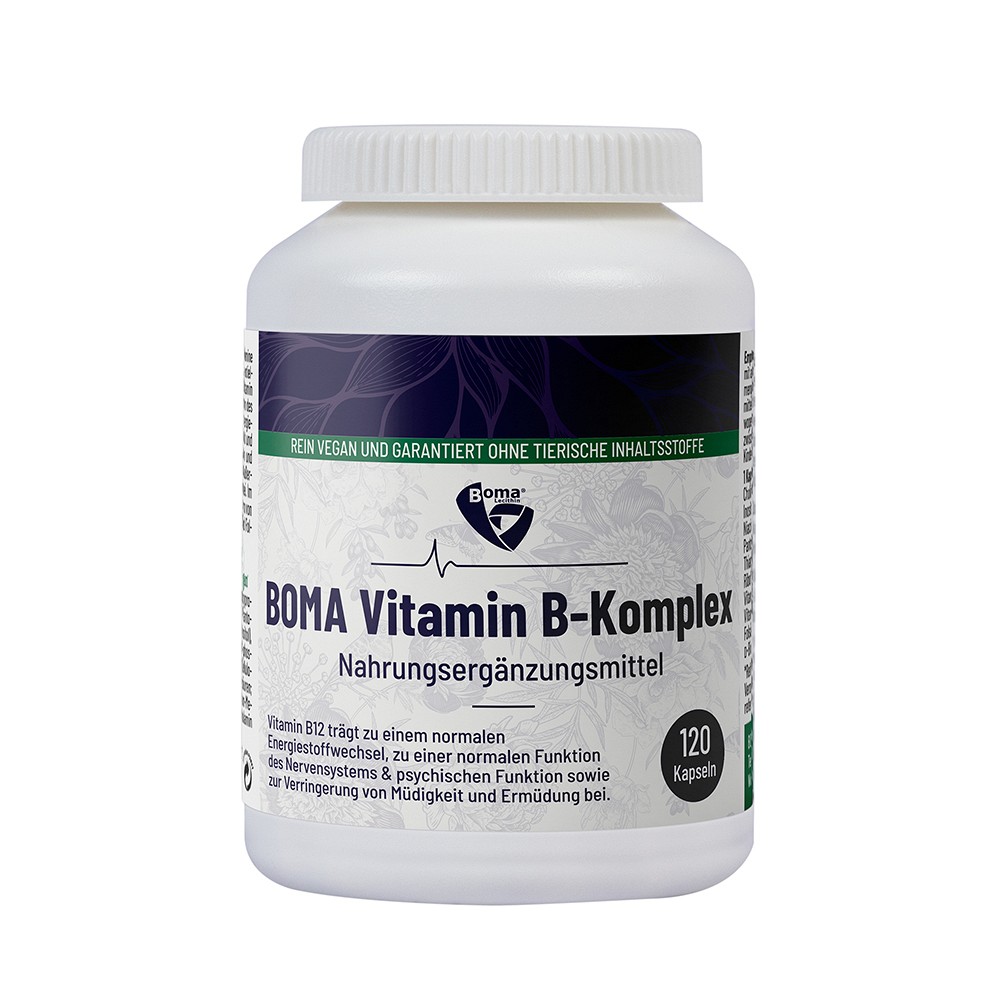 VITAMIN B KOMPLEX Kapseln 120 St