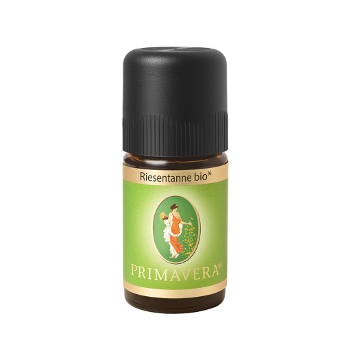RIESENTANNE kbA ätherisches Öl 5 ml