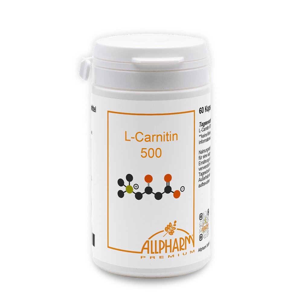 L-CARNITIN 500 mg Kapseln 60 St