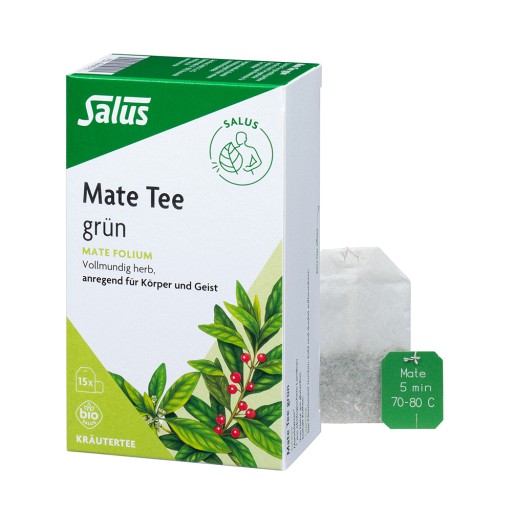 MATE TEE grün Kräutertee Mate folium Bio Salus 15 St