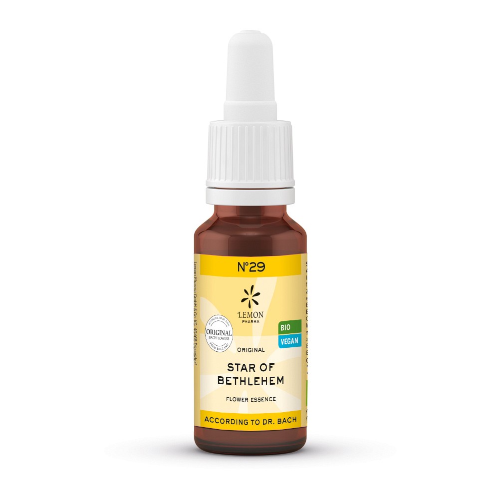 BACHBLÜTEN No.29 Star of Bethlehem Bio 20 ml