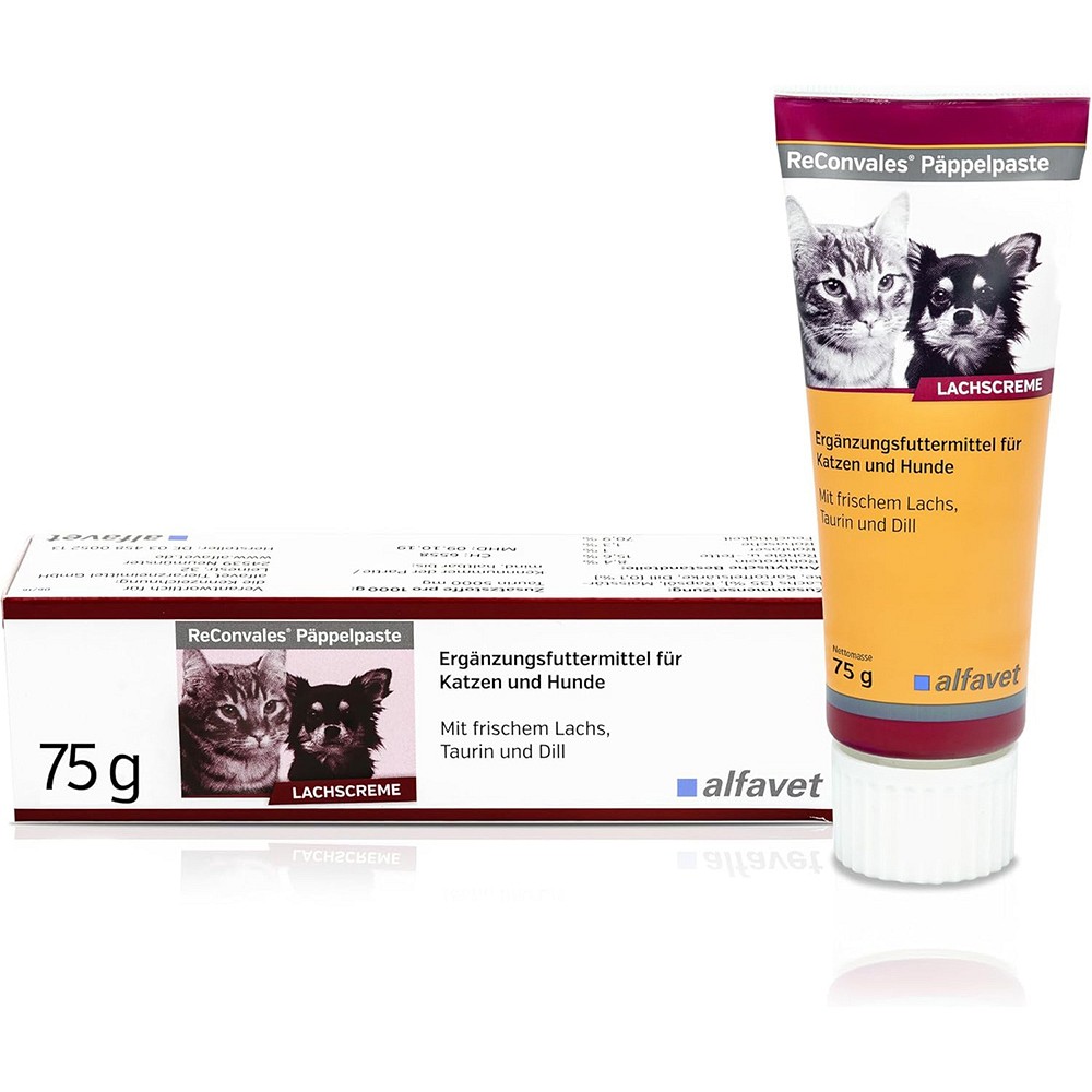 RECONVALES Päppelpaste f.Hunde/Katzen 75 g