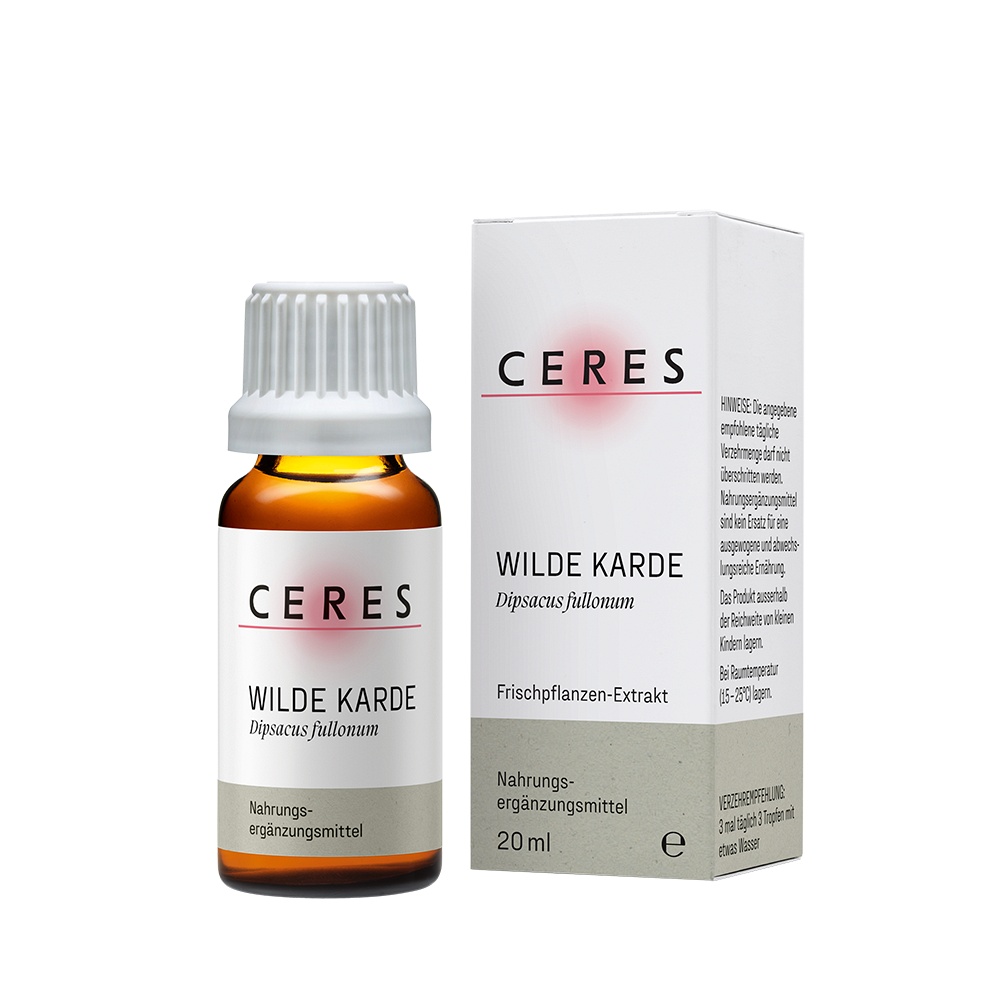 CERES Wilde Karde Dipsacus fullonum Extrakt Tropf. 20 ml