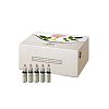 BACHBLÜTEN 10 ml Set Tropfen