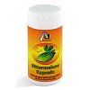 BITTERMELONE KAPSELN 500 mg
