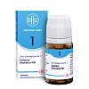 DHU Schüßler-Salz Nr. 1 Calcium fluoratum D6 Tabletten