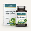 GSE Gerstengras 500 mg kontrolliert biologisch Tab