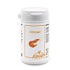 CHITOSAN 500 mg Kapseln