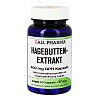 HAGEBUTTEN EXTRAKT 400 mg GPH Kapseln