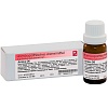 Dr. Reckeweg Arnica D6