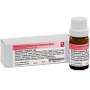 Dr. Reckeweg Berberis Vulgaris D6