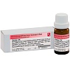 Dr. Reckeweg Ginkgo D6
